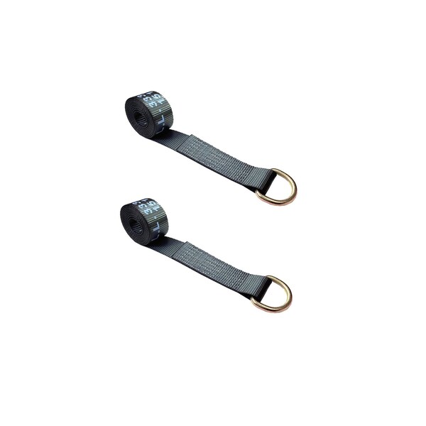 2" x 10' Lasso Strap w/ D Ring Auto Tie Down Wheel Lift Tow Truck Trailer, 2PK